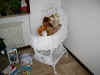 bassinet.jpg (62872 bytes)